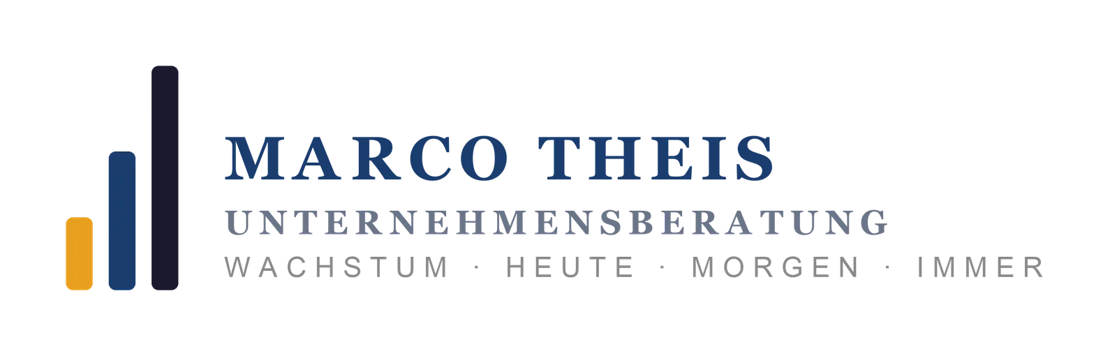 Marco Theis Unternehmensberatung
